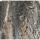 영지농장 이미지