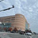 갈비명가궁&폭풍장어 | 이마트 쓱데이 2025ㅣ직접 다녀온 후기 1탄(고기,계란,치즈)