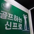 골프레슨 찾는 분들, 골프하는 신프로 다녀온 솔직 후기