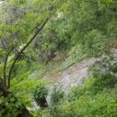 온새미로한의원 이미지