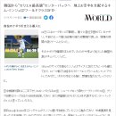 야후 - 동구 동부로30길 35-1 | 야후