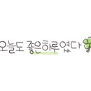 오백도피자