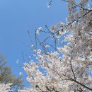 꿈의숲 라포레스타 이미지