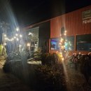 아라리게스트하우스 | 제주도술집추천 제주도제주시술집 안주가 맛있는 스텔라제주 솔직후기