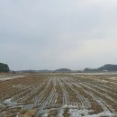 임자공인중개사사무소 이미지