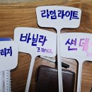 서와실 농원 목수국 다이아몬드 루지 외목대로 쬐끔 용기묘 재배중이네유 이미지