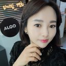 뽀송뽀송펫뷰티 이미지