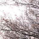 인후공원(배수지) 이미지