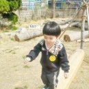 금련사유치원 이미지