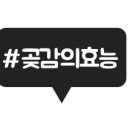 상주대월곶감농원