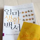 행복한 여자의 공간 이미지