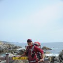 불루모아 이미지