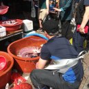 영주시장 이미지