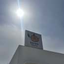 카페배 | 양양카페 배꽃나무 감성포토존카페 배배젤라또 내돈내산 후기