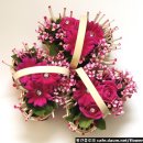 세잎클로버 이미지