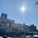 도쿄 긴자 스시 맛집 ㅣ 츠키지시장 스시잔마이 본점 ♥