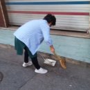 동양 지물포 이미지