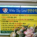 화이트가든&화이트도그랜드 이미지