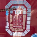 초아 태권도 | [공연 데이트] k-컬쳐 페스티벌 in 강릉 후기 (+공연영상, 오리고기 포케, 그림일기)