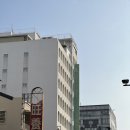 대만 가오슝 여행 숙소 써니사이드 호텔 여자 혼자 묵기 좋은 가성비 위치 최고 가오슝 호텔
