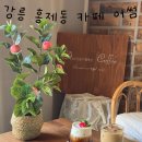 어썸 | 강릉 홍제동 카페 "어썸" 후기