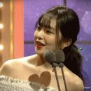 연예대상 아이린ㄷㄷ gif 이미지