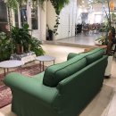 브로시스 이미지