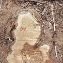 은평-069 이미지