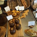 뉴이태리안경 이미지