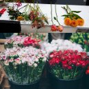 나도 플로리스트 이미지