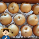 김미숙농장 | 가성비 최고 가정용 햇배 순천 산지직송