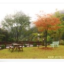 강변통나무펜션 이미지