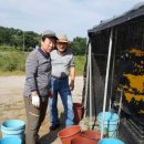 상신농장 이미지