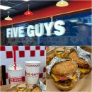 도그버디 서수원점 | 광교 갤러리아 파이브가이즈 | 아기랑 다녀온 아쿠아리움 뷰 햄버거 맛집