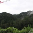 곡성-242 이미지