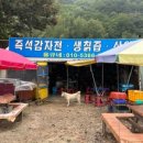 거북이펜션 - 포항시 남구 호미곶길 77 | 거북이펜션