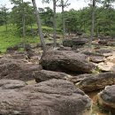 화순골망태 이미지