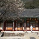 조화불교사 이미지