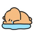 뉴욕야시장강릉