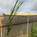 노아의 방주 이미지