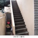 하단동113 이미지