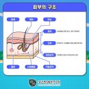 신영통건강생활