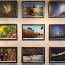 포크기타(초급) 이미지