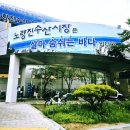 26290-20-10-006 | <노량진 수산시장> 금왕수산+광명상회 구매후기, 여름 보양식 '피문어'와 제철 '민어'☆토끼 소주...