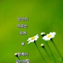 건강의향기 이미지