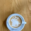 호텔 잇츠더블유(HOTEL IT'S W) | 2026년 시드니 일상 | Zenius 카페, All Buttons Great &amp; Small, 코모카츠, 플래너 레스토랑, W 호텔 bar