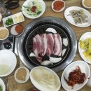 보성녹돈 이미지