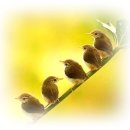 아낌없이주는나무 이미지