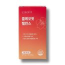 클레오 - 서구 월평로 40 | 클레오