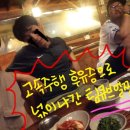 개유진의 팀<b>큐브</b> 첫벙개 후기